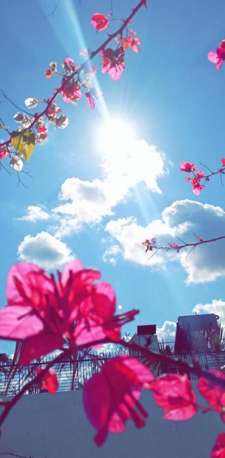 Riad 46 마라케시 외부 사진